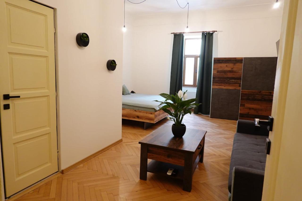 The Industrique Home - 3 Bedroom Apartment Timişoara Buitenkant foto