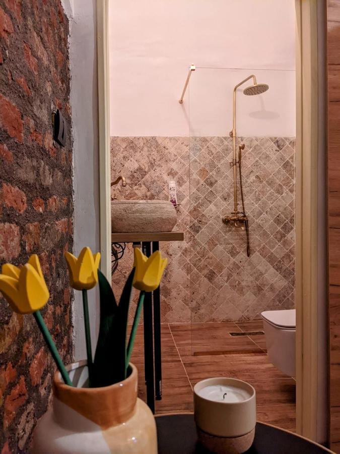 The Industrique Home - 3 Bedroom Apartment Timişoara Buitenkant foto